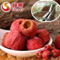 Freeze-dried Hawthorn Berry Organic Powder Dried FD, Low Temperature Vacuum Dehydrated Sour from CN;HEB 80--100 2.5 Kg 5%
